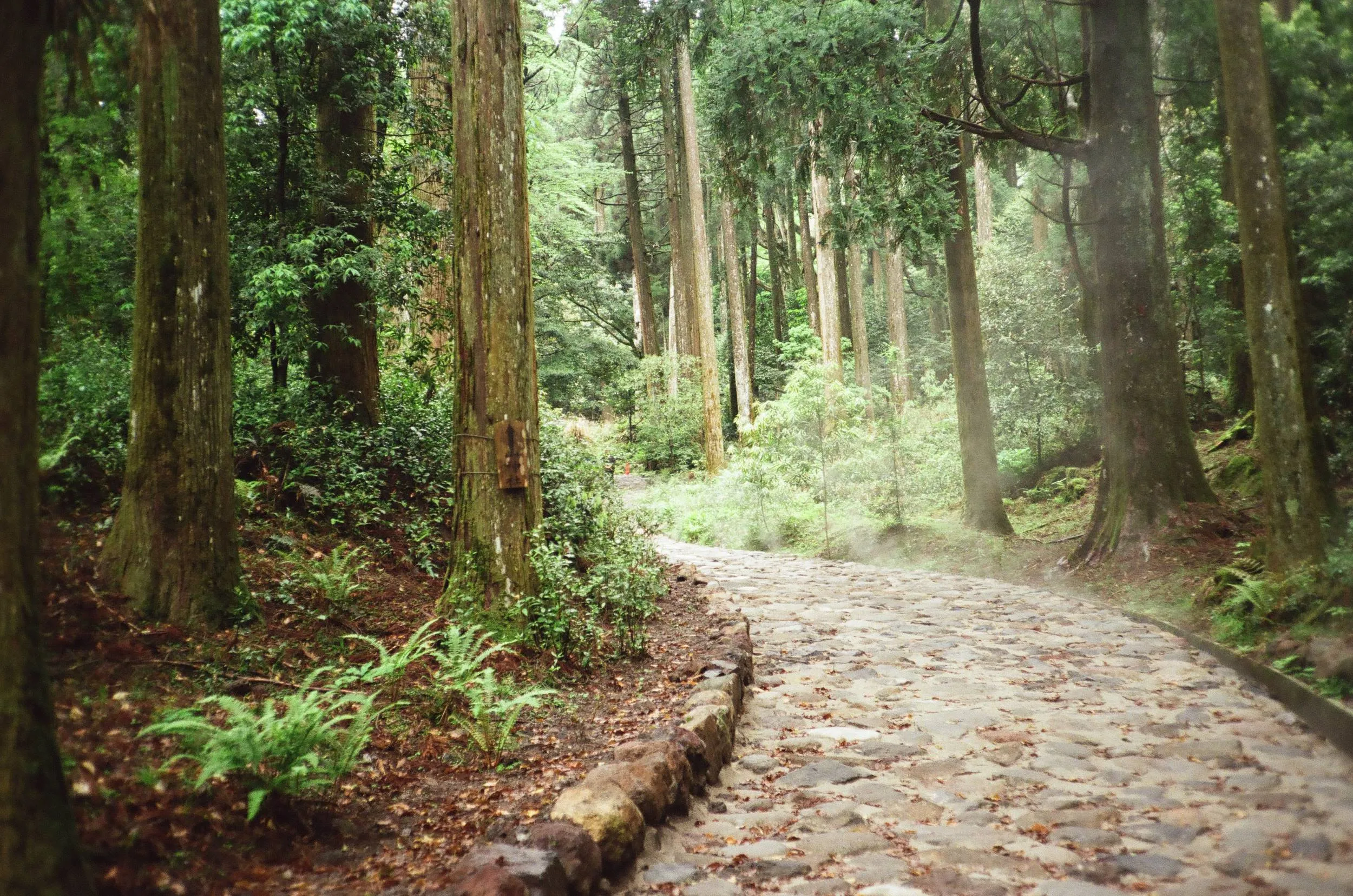 Nature