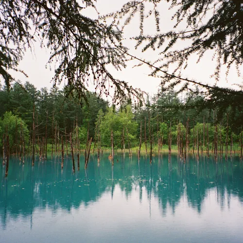Miniature 1