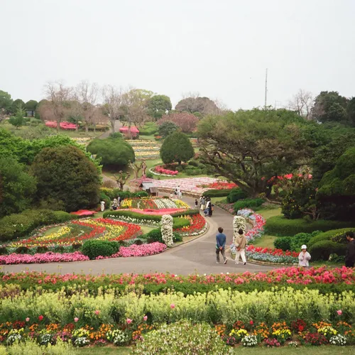 Miniature 4